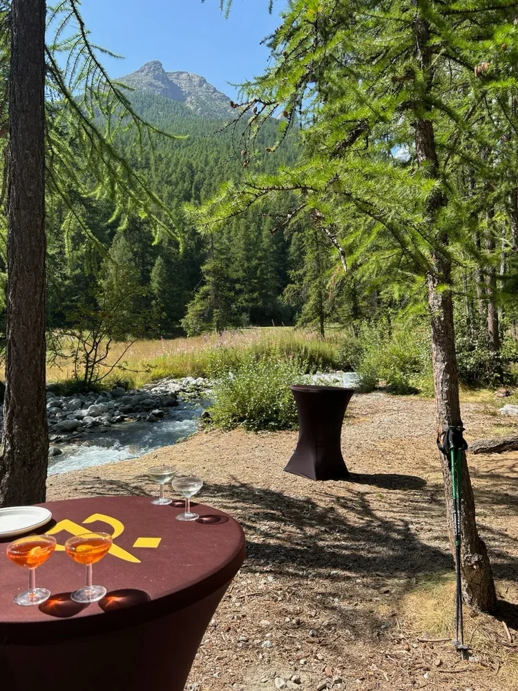 Newsletter: December 2025