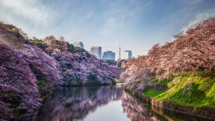 Newsletter: April 2026