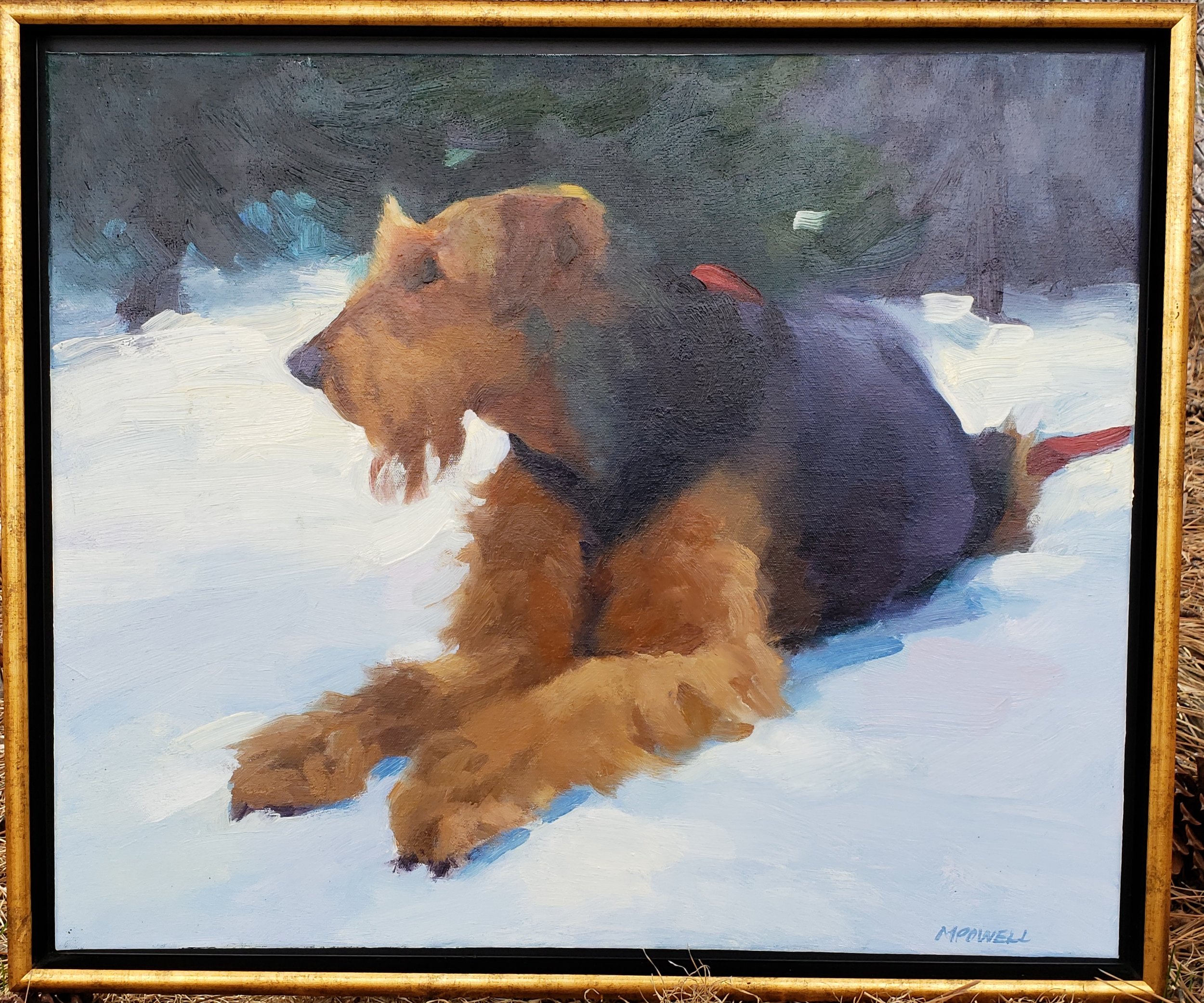 Mary Powell Original Oil Painting of an Airedale