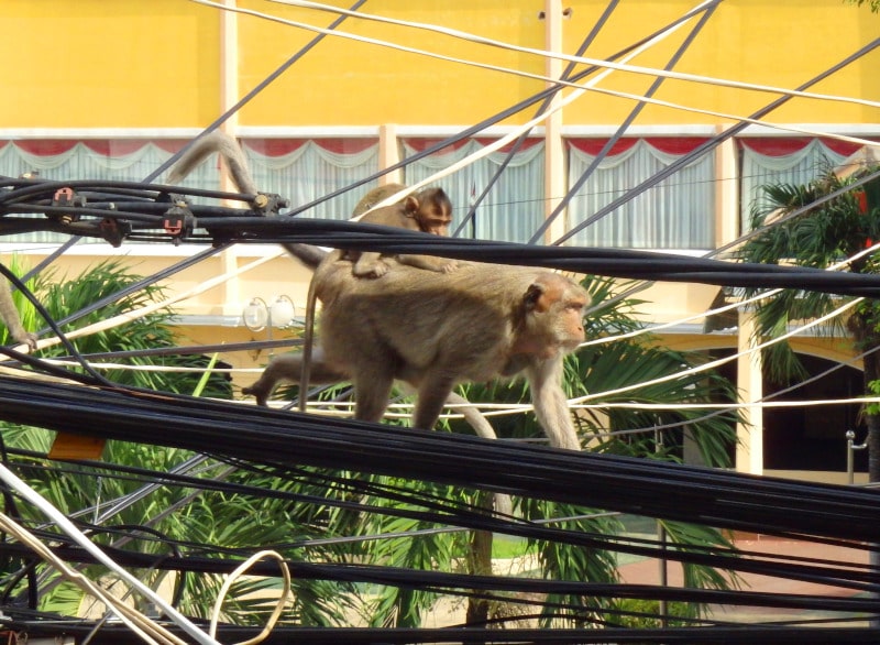 It’s tiring too. You might need a piggy back every now and again…