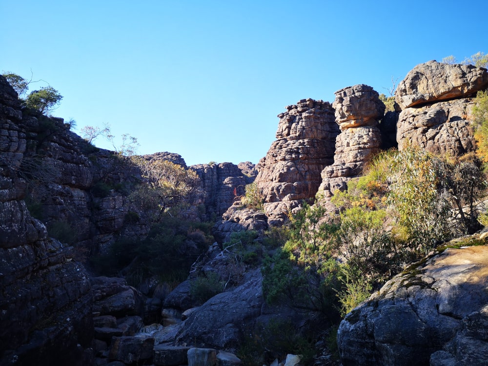 The Grand Canyon is one of the highlights that the Pinnacles walk Grampians has to offer!