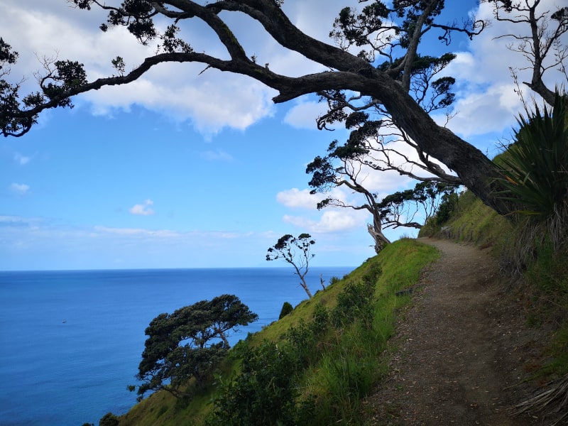 The following advice should help you find the perfect minimalist hiking footwear.