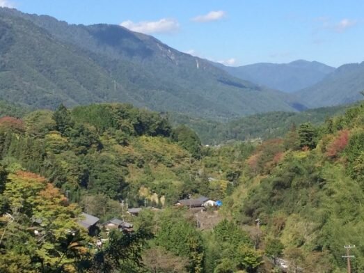 It’s a small picture, but it gives an undeniable sense of the immense beauty of the Nakasendo trail!