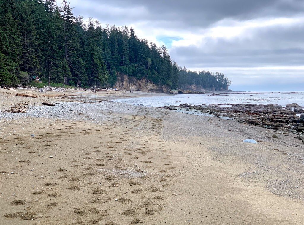 LIterally everything about the West Coast Trail sounds epic…apart from the Bears.