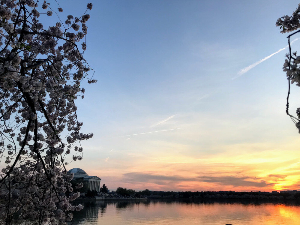 The Tidal Basin is one of Washington DC’s prime attractions. It’s a must do in the capital.