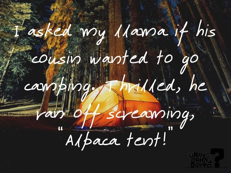 You gotta love a good pun. This joke about camping genuinely made me laugh…