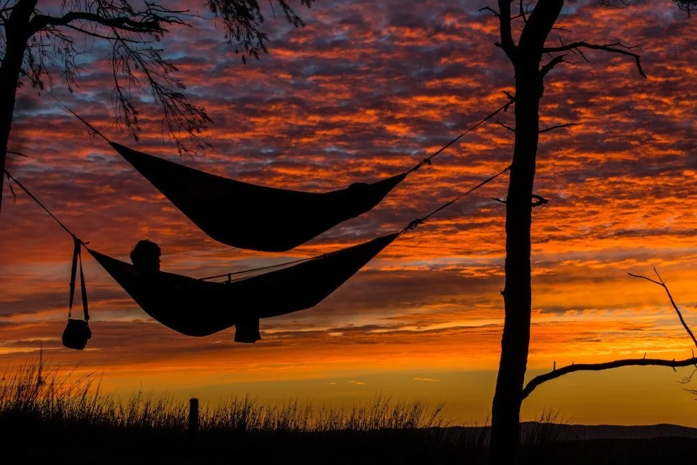 These guys (well, the one on top at least) are getting wet if the weather turns! Bag yourself a tarp for hammock camping to avoid that eventuality.