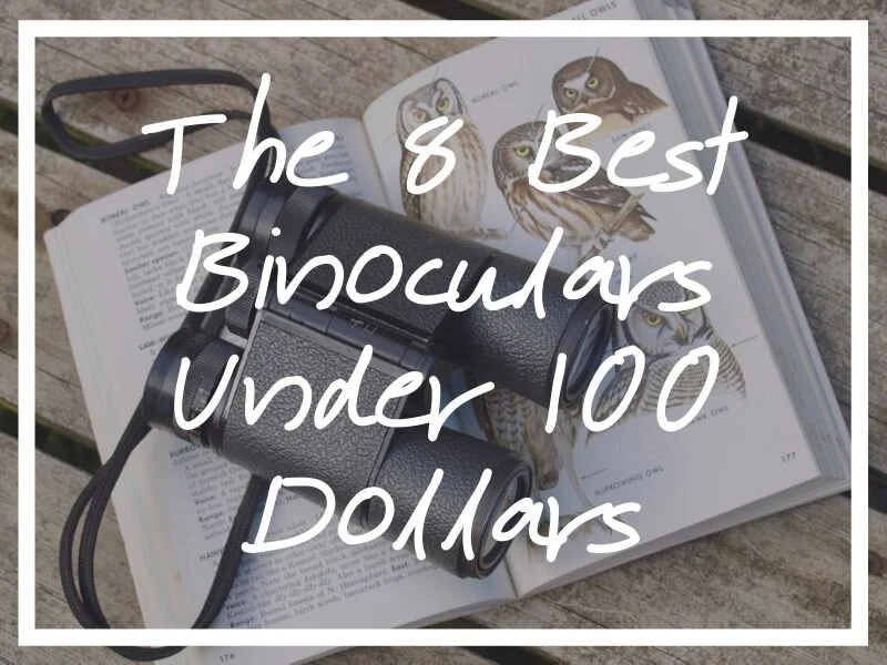 best binoculars under 100