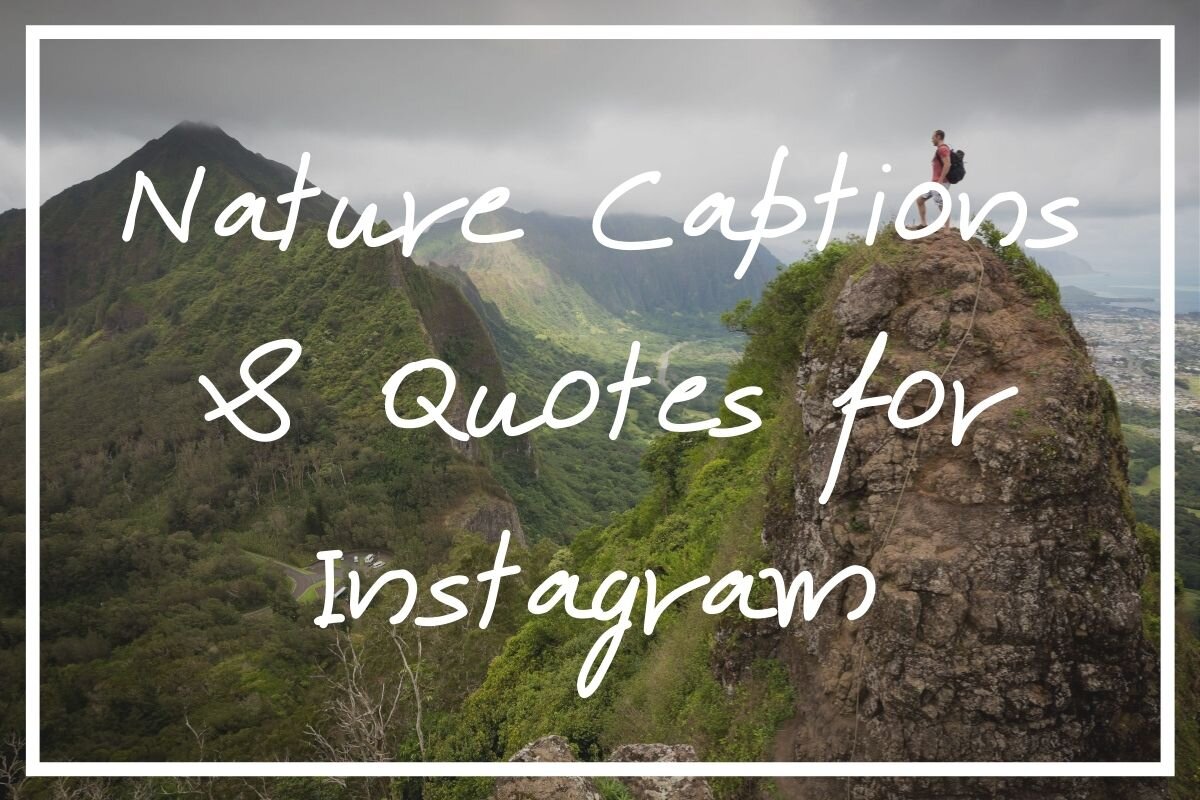 215 Epic Nature Captions for Instagram [Quotes & Captions Nature] — What's Danny Doing?