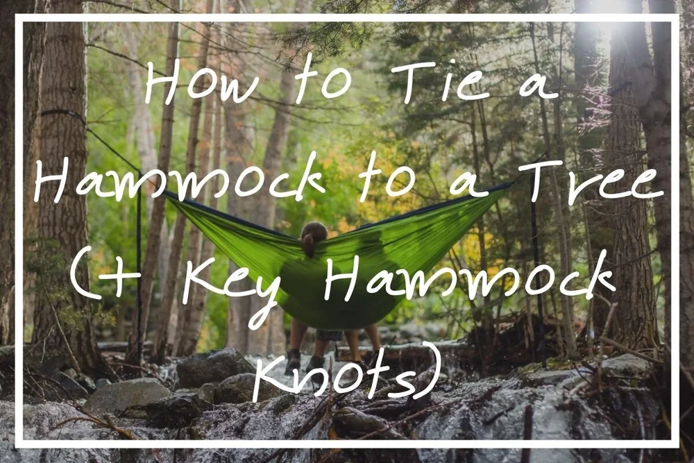 How to Tie a Hammock to a Tree (+ Key Hammock Knots) — What's Danny Doing?