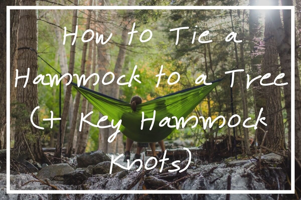 Wondering how to tie a hammock to a tree? I hope this post helps!