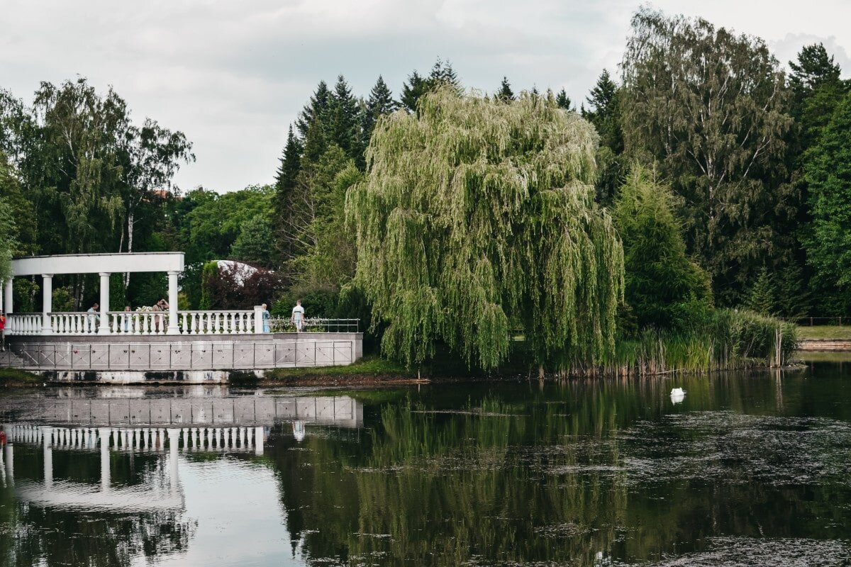 Of all the tree types on this list, I always think the drooping branches of the willow make it seem a little sad!