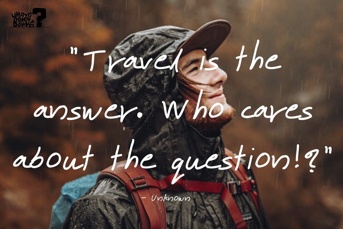 Travelling funny quotes aren’t always hilarious, but they can definitely be punny.