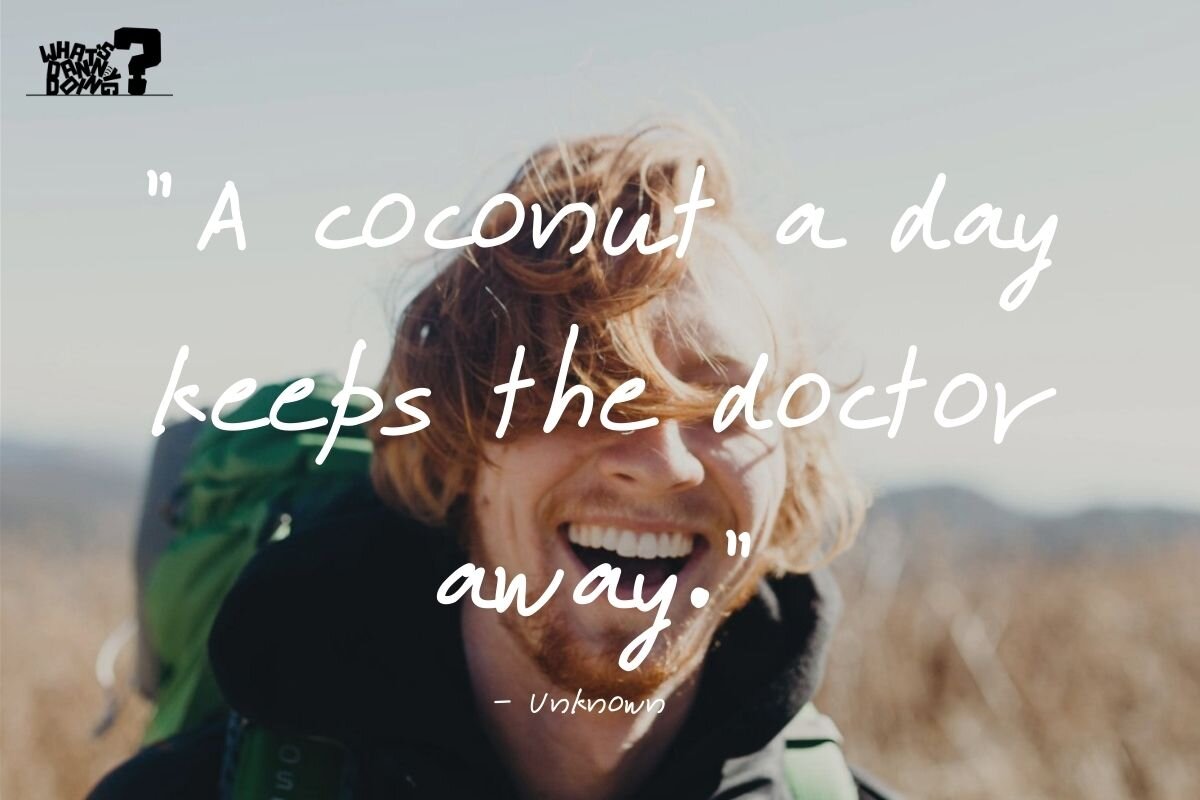 Funny vacation quotes can give you a giggle as well!