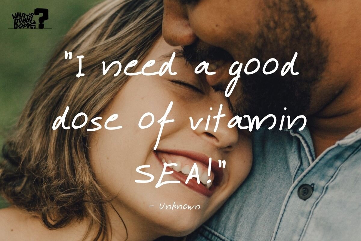 Here’s a list of funny quotes on vacation and travel.