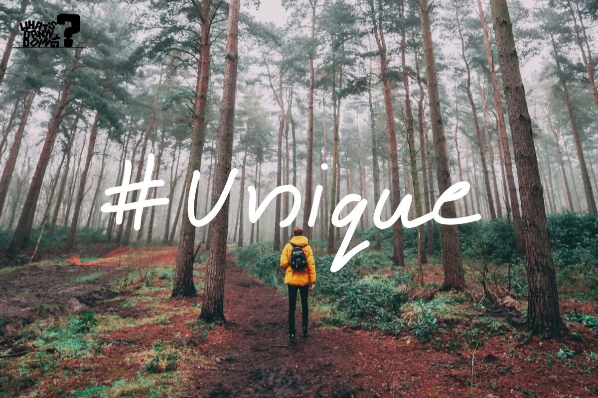 Unique hashtags for traveling are great for finding your audience and standing out from the crowd.