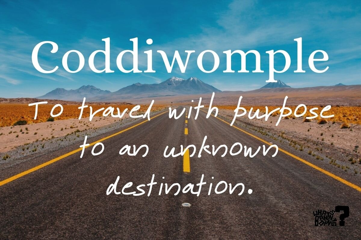 10 Synonymous Words for Travel Lovers • The Art of Travel