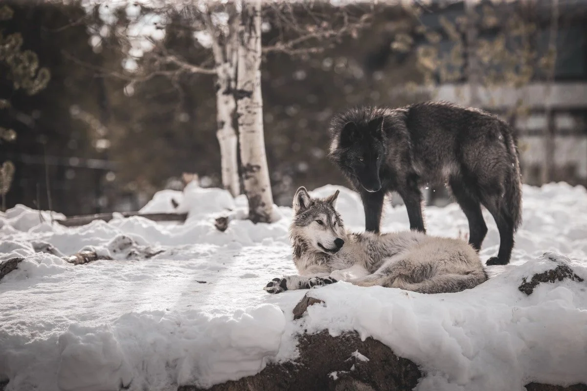 15 Amazing Short Inspirational Stories [Motivational stories] — What's  Danny Doing?
