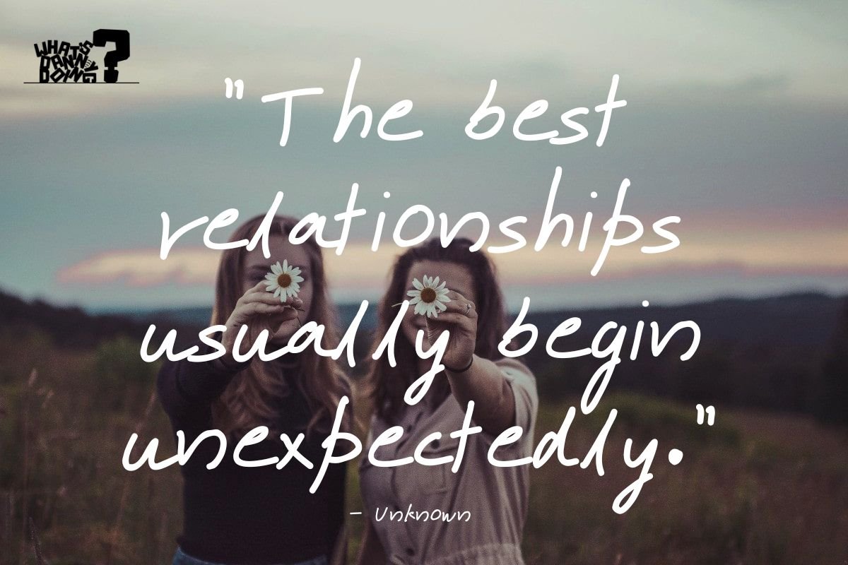 101 Cute Friendship Quotes For Best Friends & Unexpected New Friends