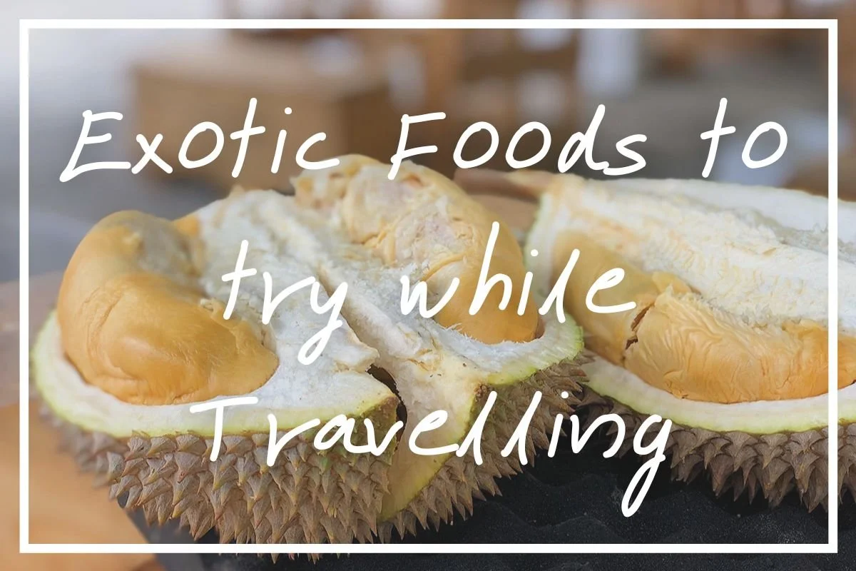 75 Unique, Strange, and Exotic Foods To Try While Travelling — What's