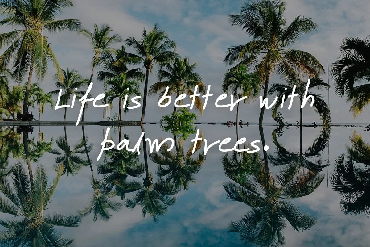 130 Perfect Palm Tree Quotes [Plus Palm Tree Captions!] — What's Danny