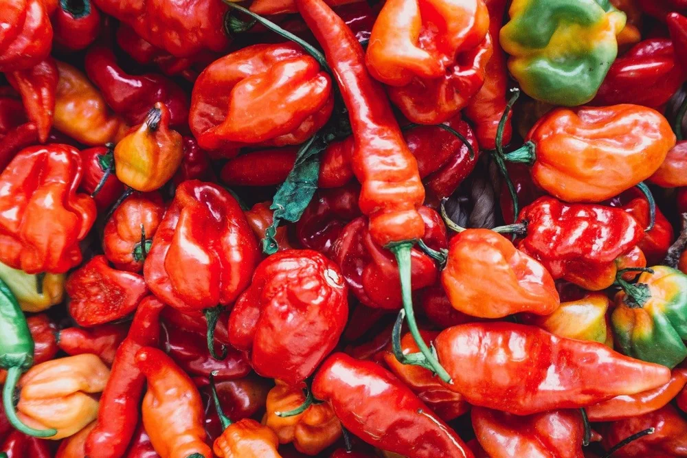 10 Hottest Chillies in the World! [Hottest Chilli Guide] — What's Danny ...