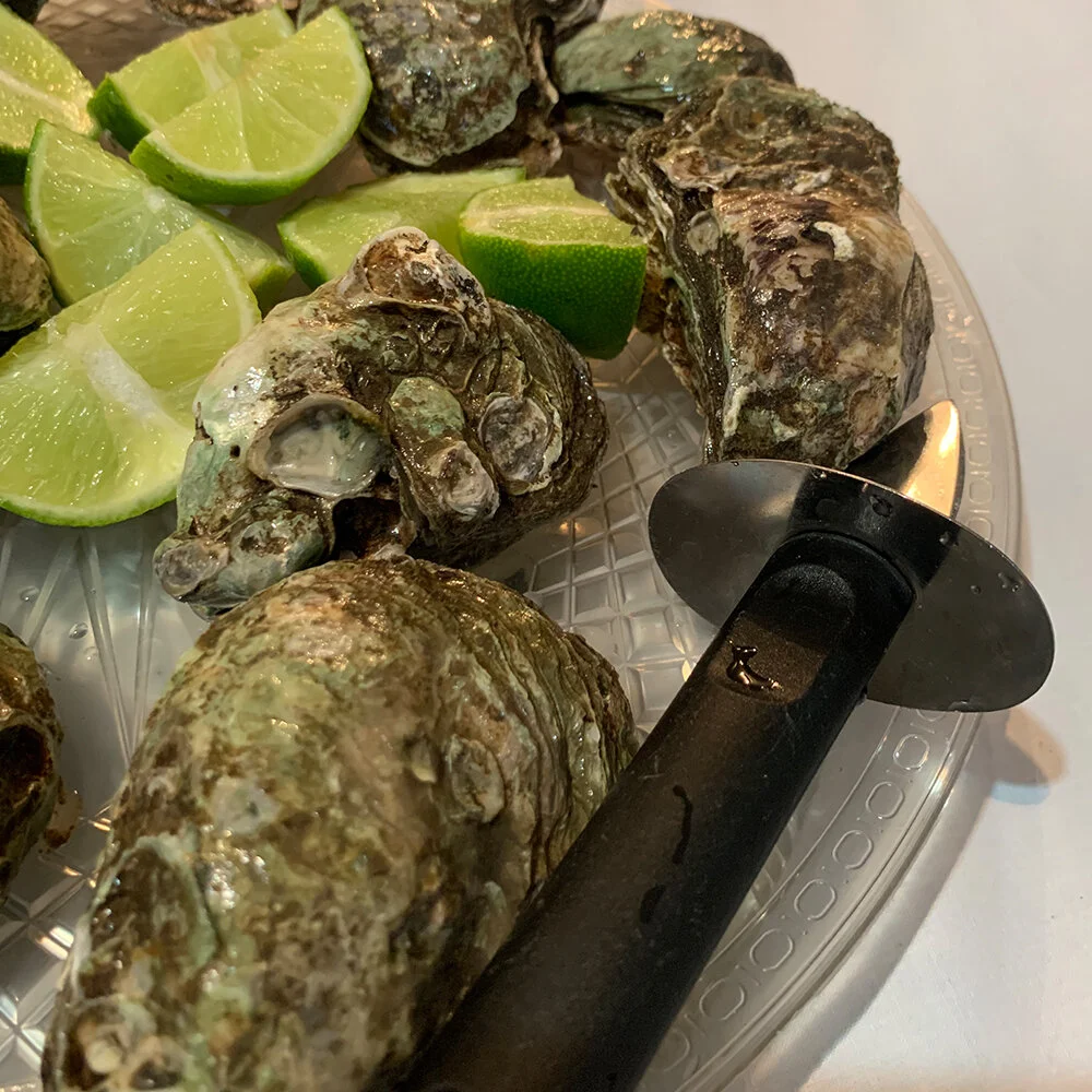 Ostras made in Venezuela