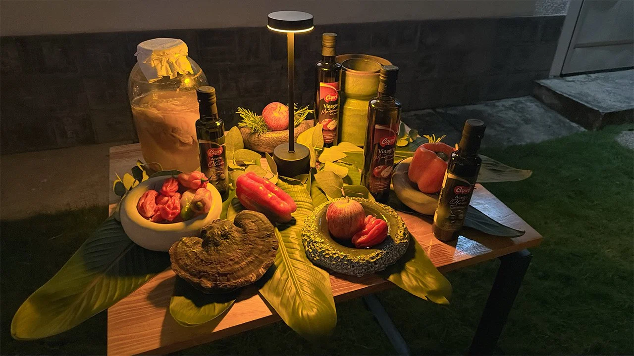 Carlos Martinez_Dasa ferments_setas_simbiosis_6.jpg