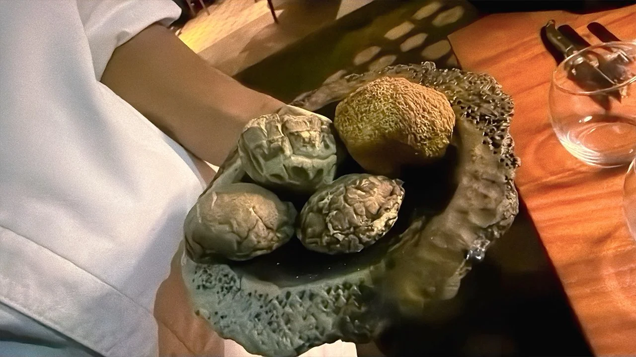 Carlos Martinez_Dasa ferments_setas_simbiosis_21.jpg