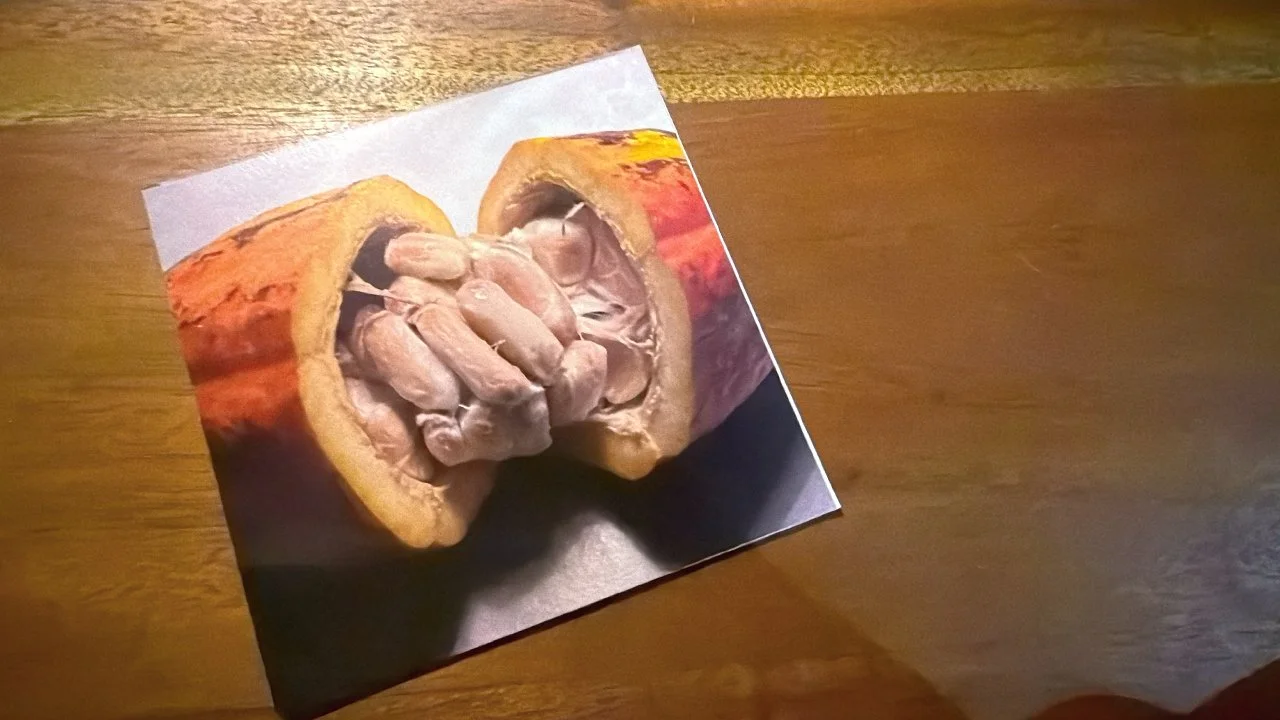 Carlos Martinez_Dasa ferments_setas_simbiosis_9.jpg