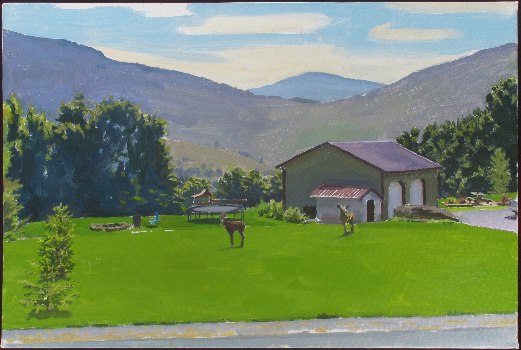  LAWN oil on linen 18 x 24” 2012 (sold) 