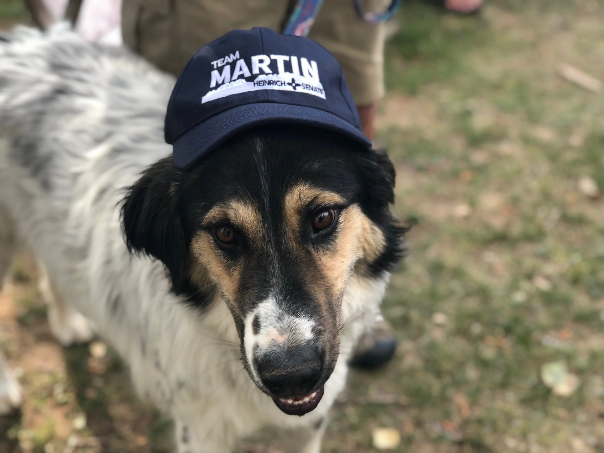 Team Heinrich hats (mostly worn by humans)