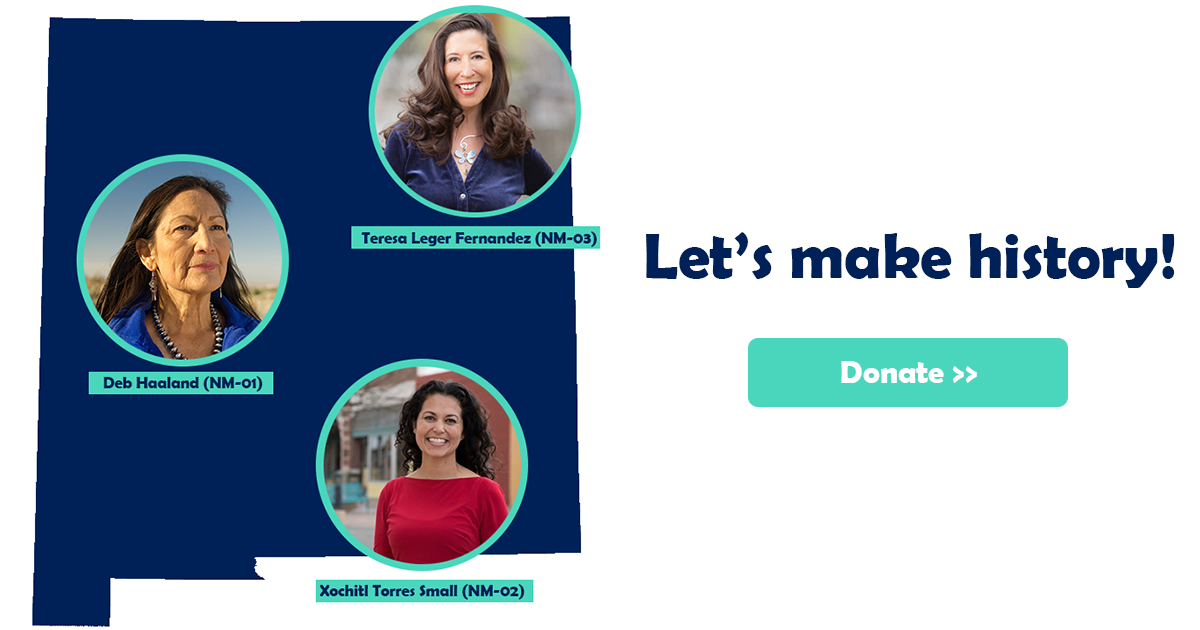 Graphic created for a joint fundraising effort between Deb Haaland, Xochitl Torres Small, and Teresa Leger Fernandez in the 2020 cycle.