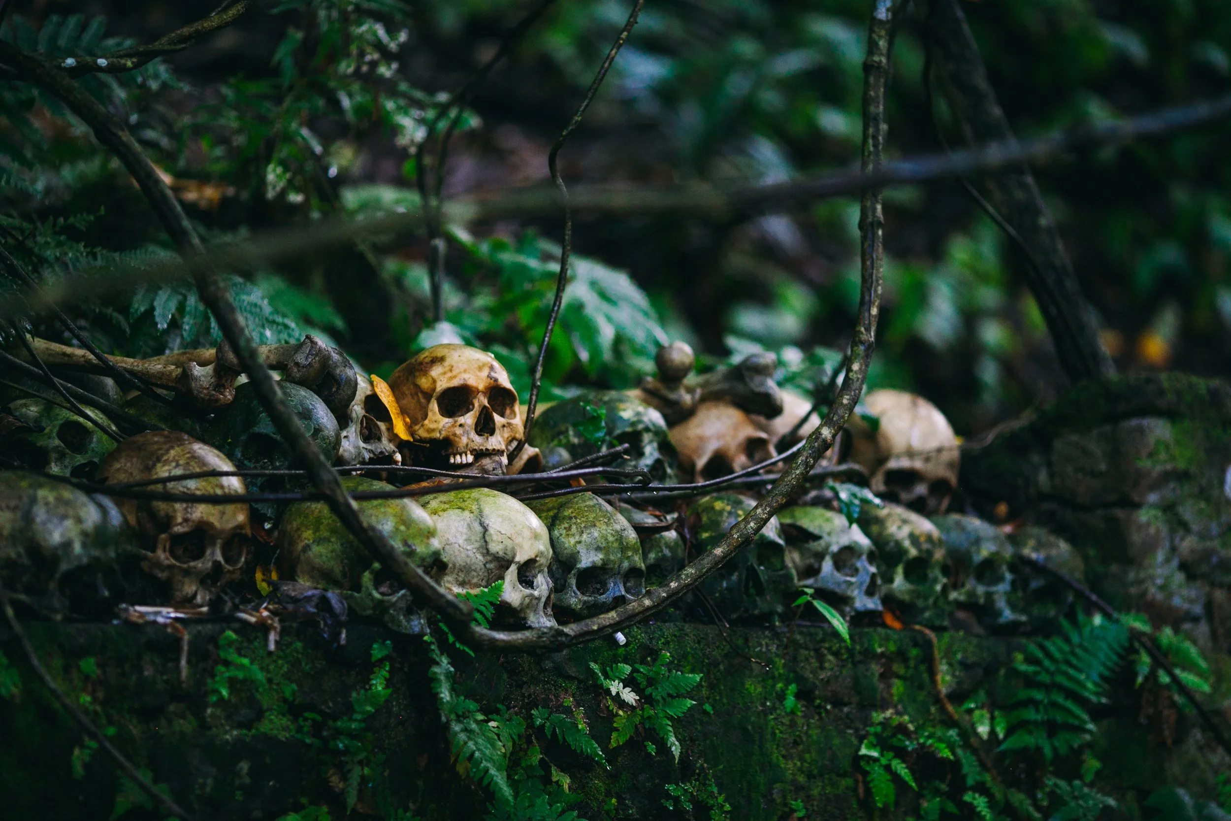 How end users feel during meetings where we discuss passwords. (Photo by Cristian Grecu on Unsplash )