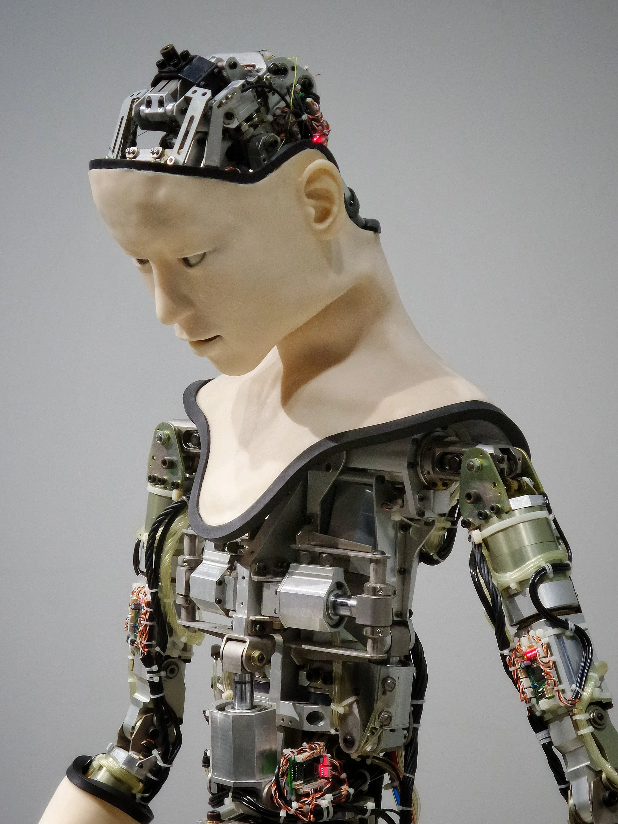 Robot Death and Data Lessons