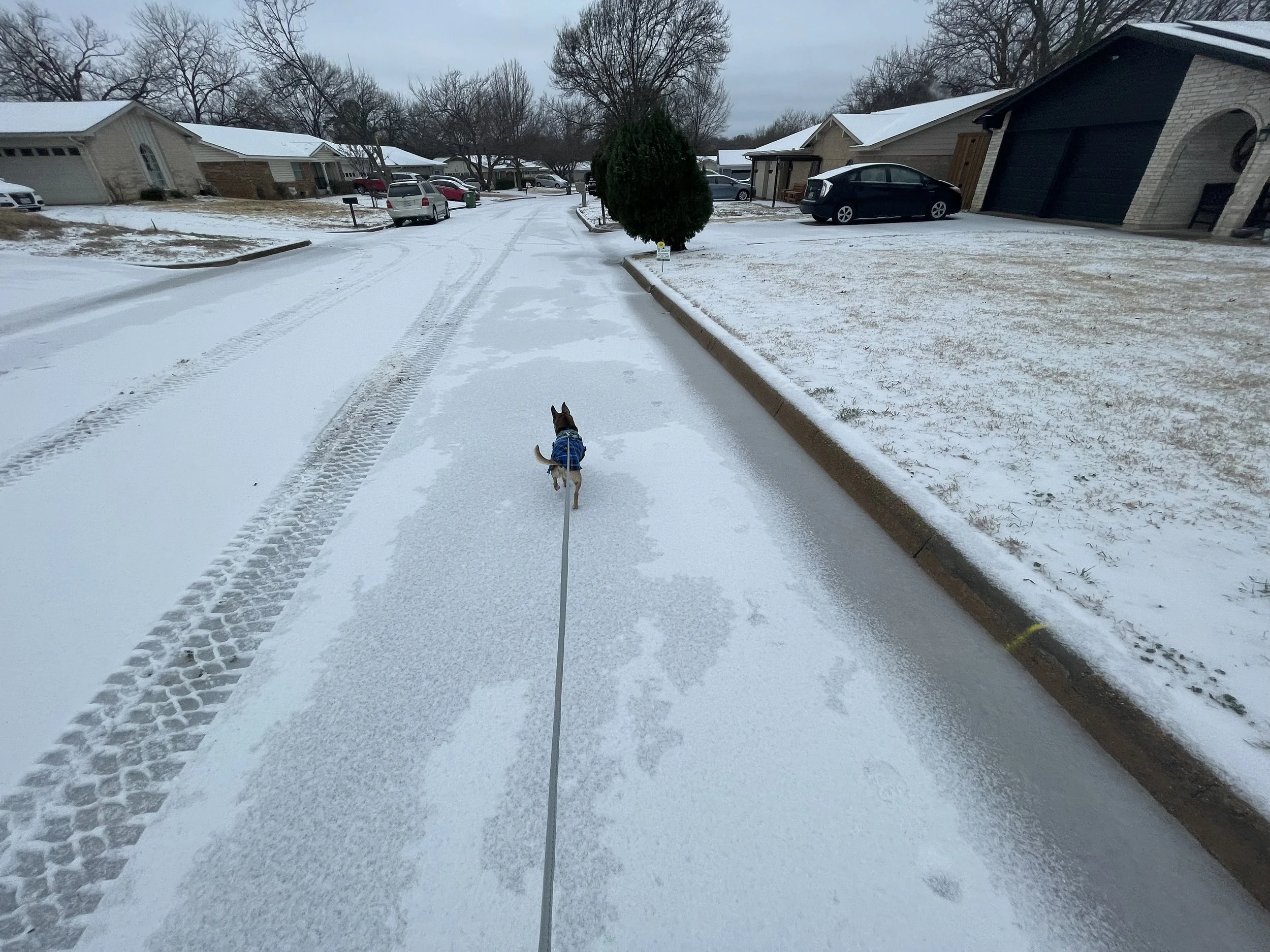 Texas and Winter Storms