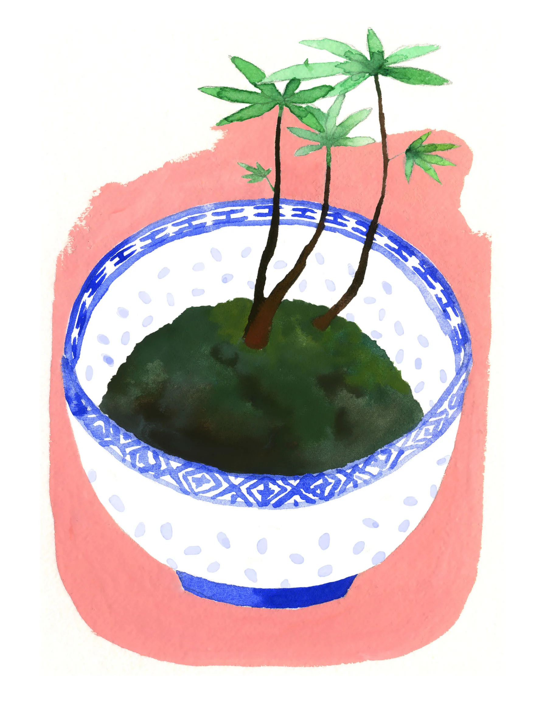 mori-cha-MICRO-15X20.jpg