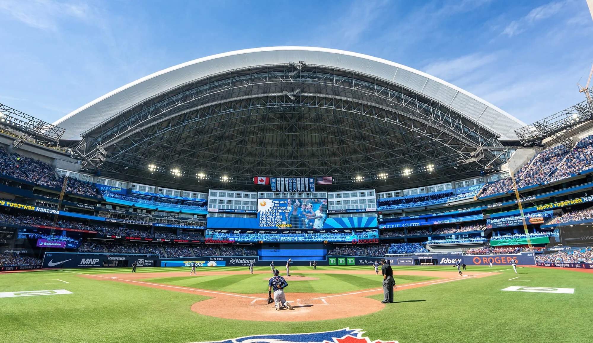 Blue Jays.jpg