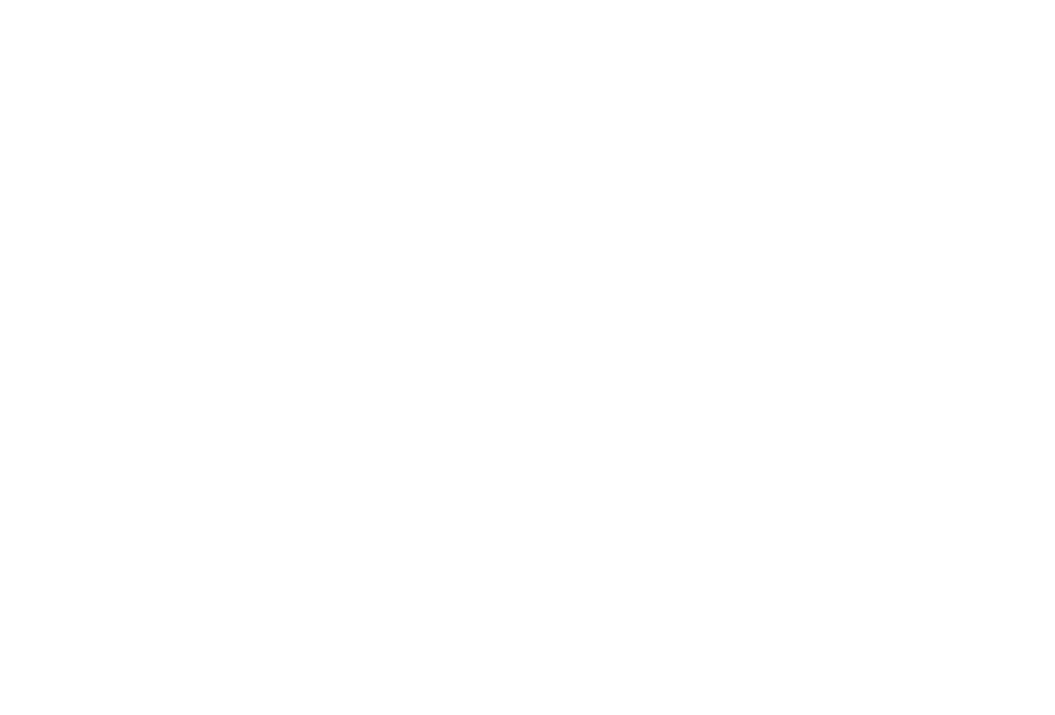 stephan montag