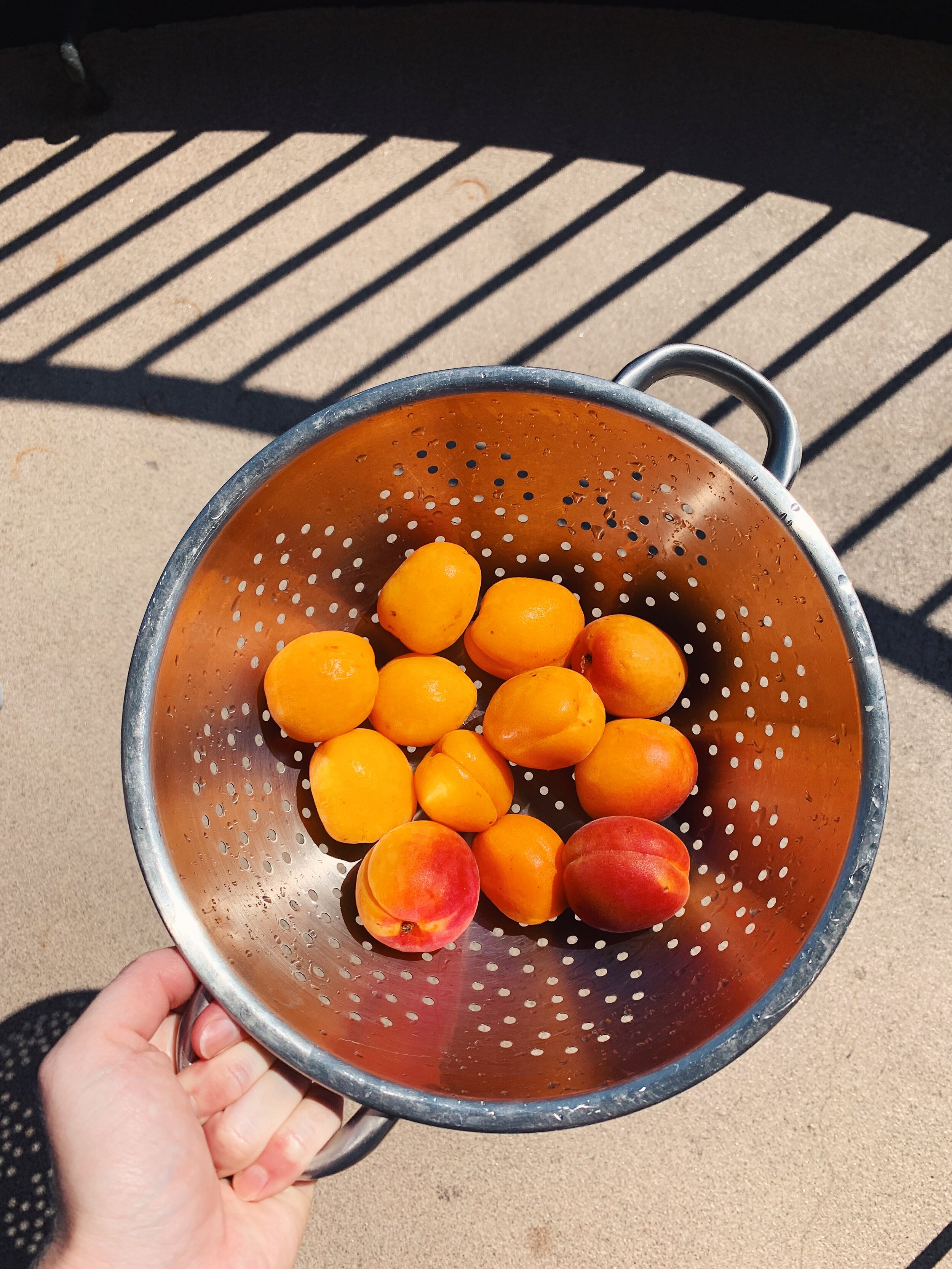 upside-down-apricot-tart-alison-roman-fruit-3.jpg