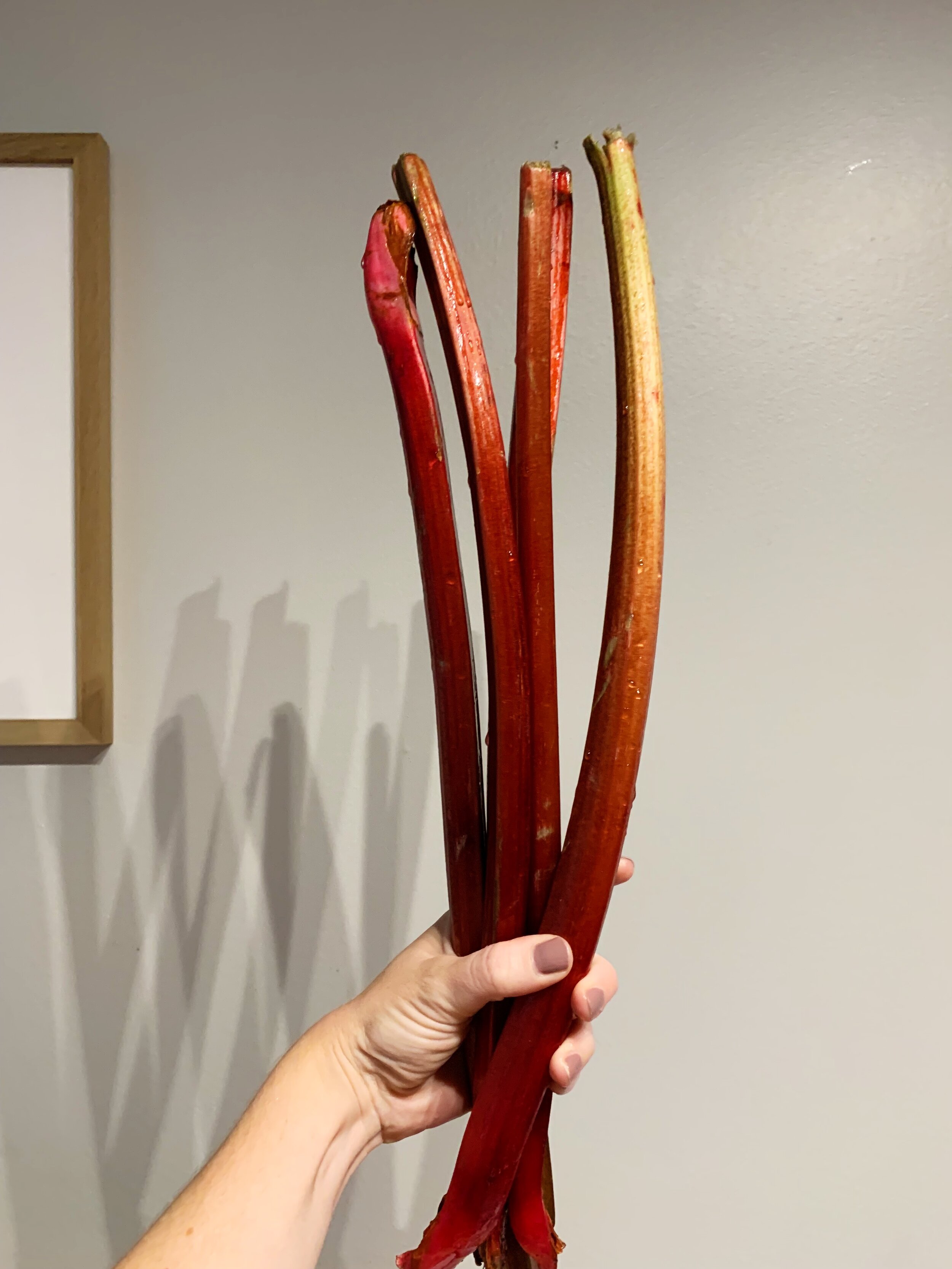rhubarb-almond-galette-alison-roman-stalks.jpg