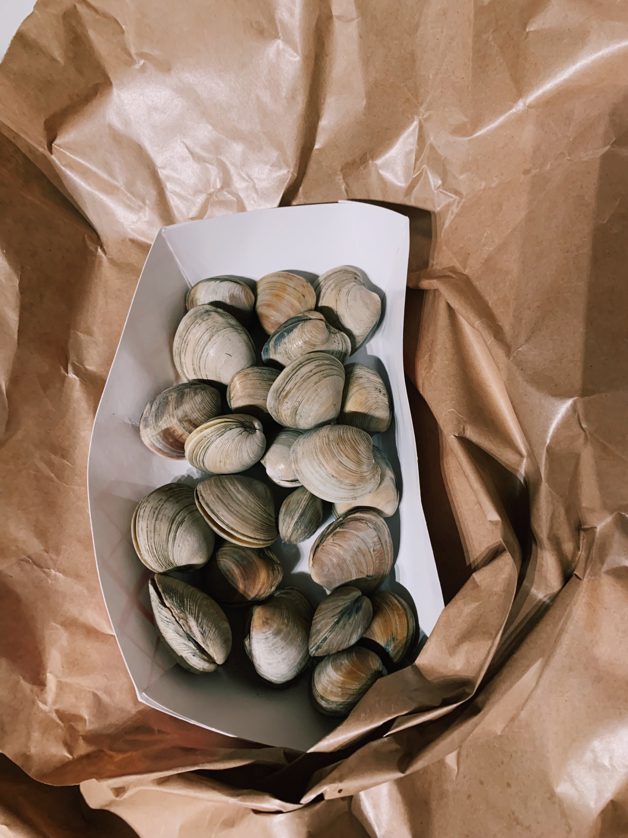clam-pasta-chorizo-walnuts-alison-roman-clams-2.jpg