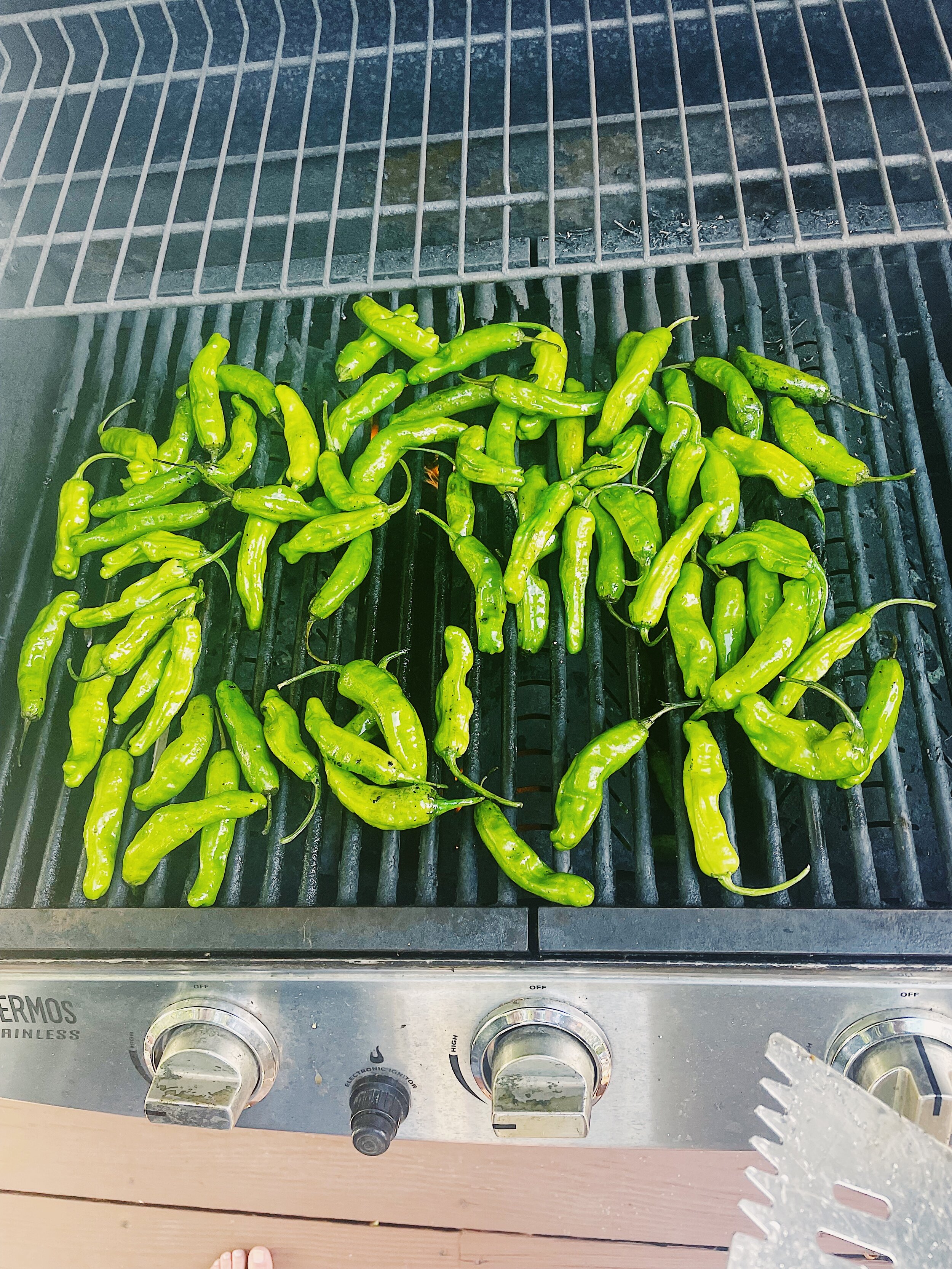 tiny-peppers-yuzu-kosho-alison-roman-grill.jpg