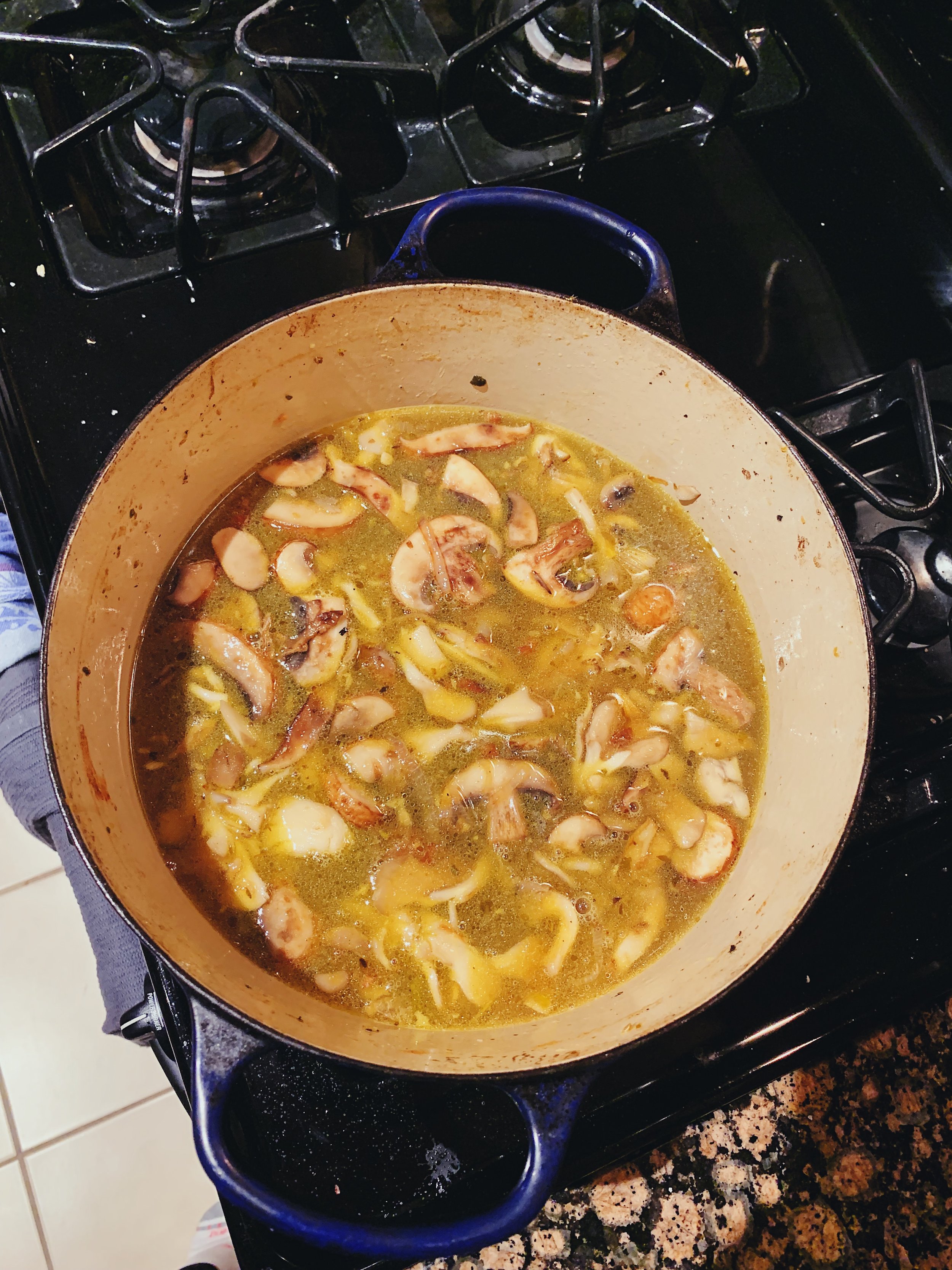 chicken-soup-toasted-garlic-mushroom-celery-alison-roman-7.jpg