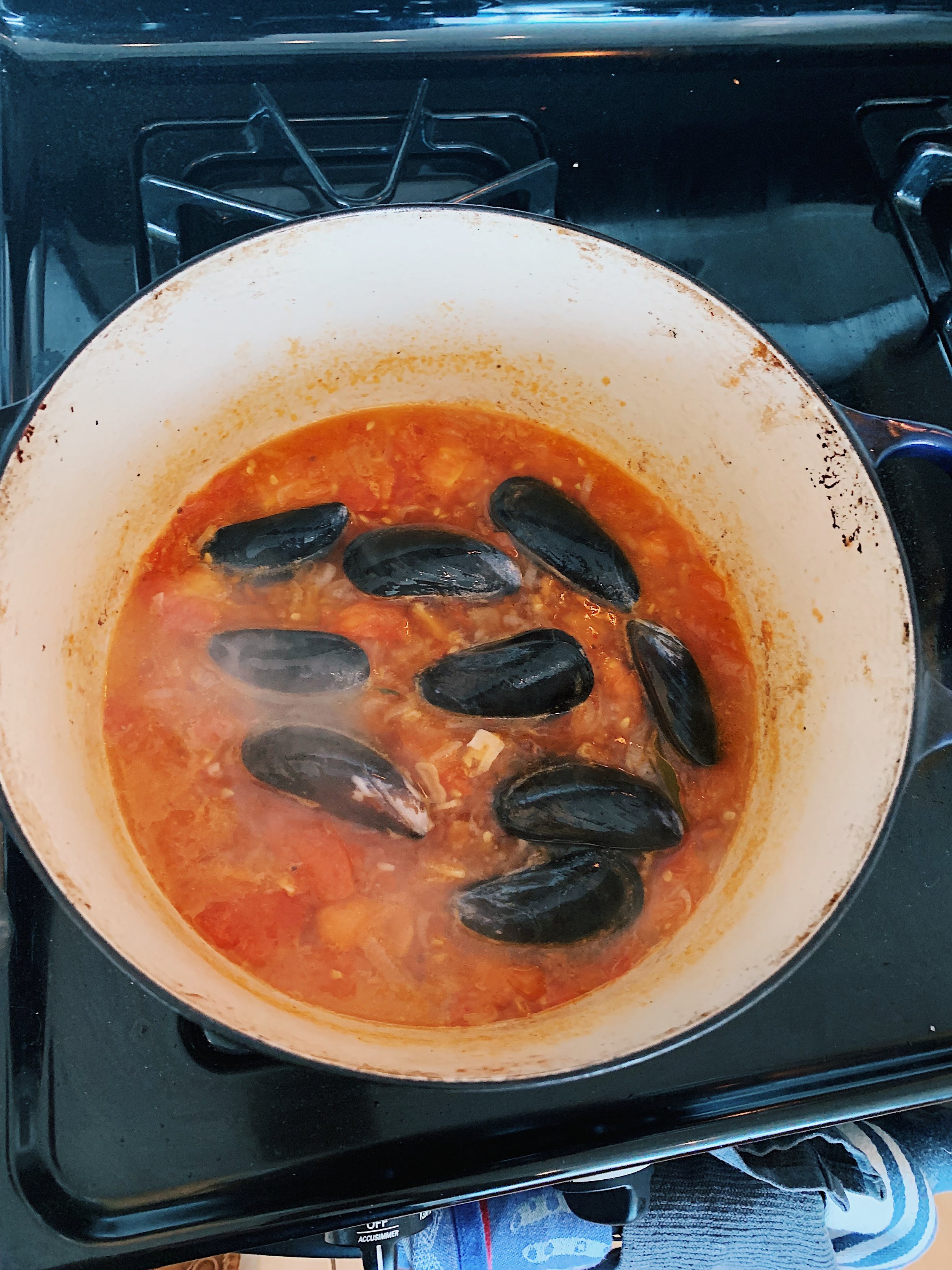 quick-weeknight-fish-stew-olives-alison-roman-mussels.jpg