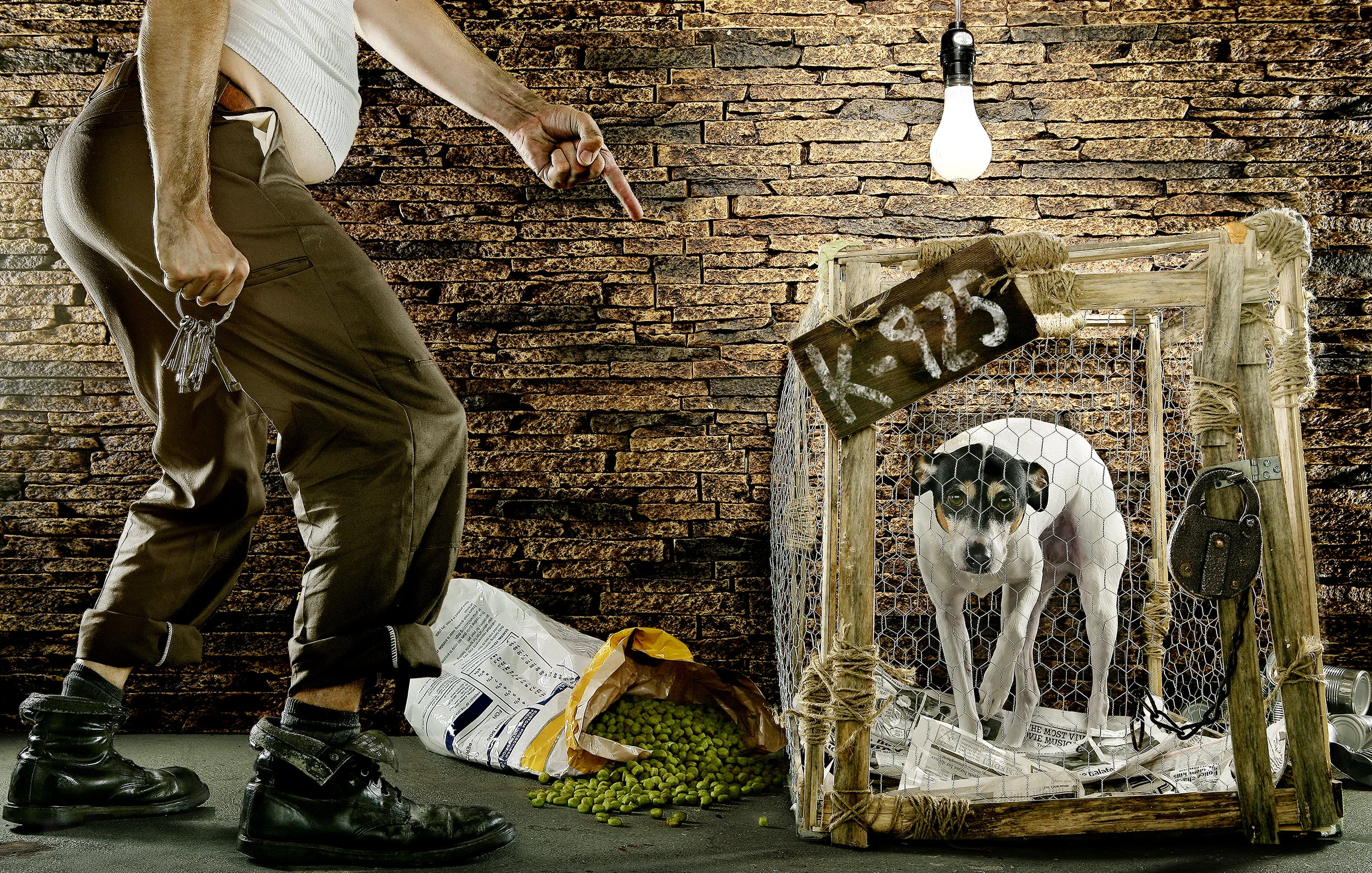 Daft and Underfoot_Final(22X14)_Flat copy copy.jpg