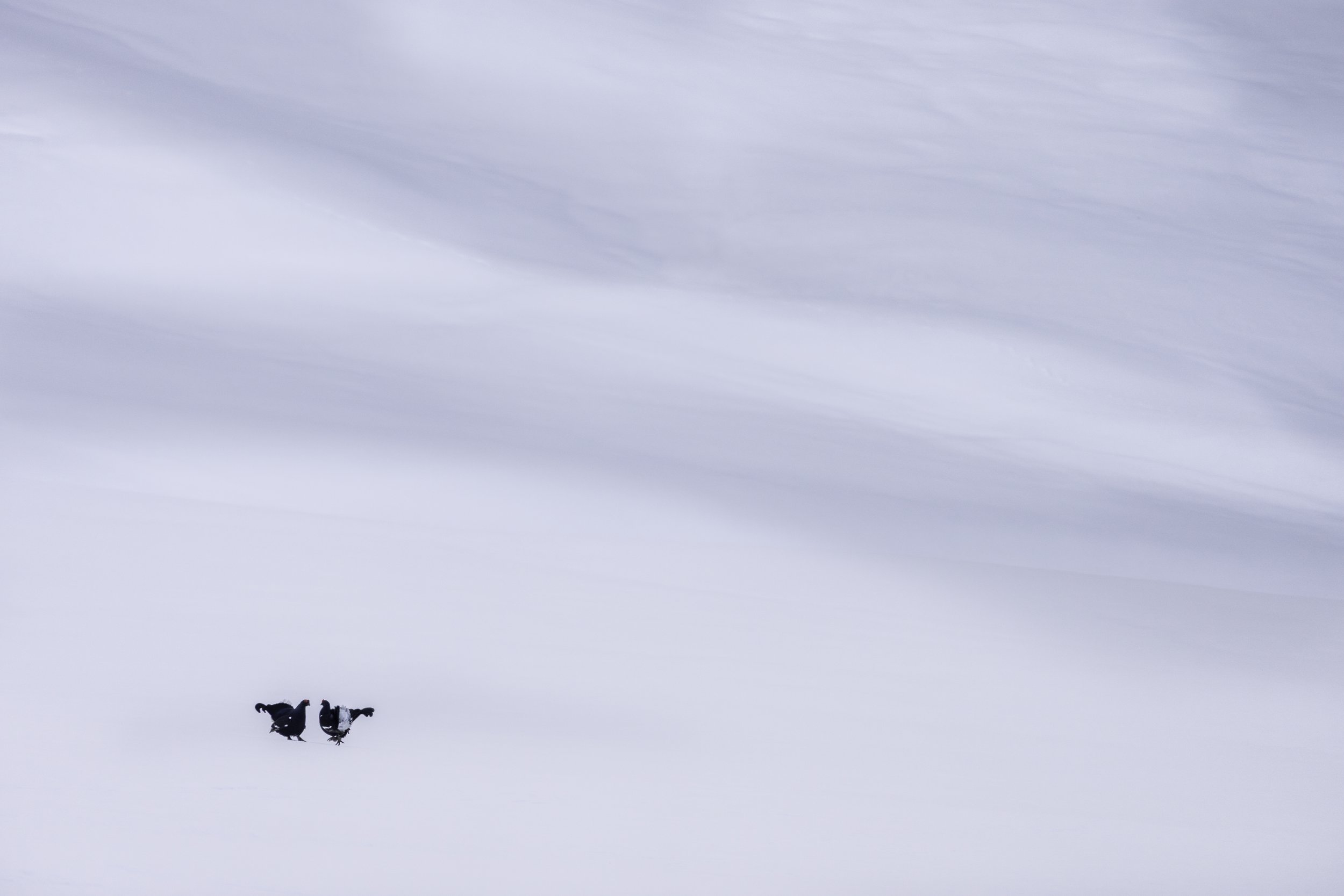 _DSC5390.jpg