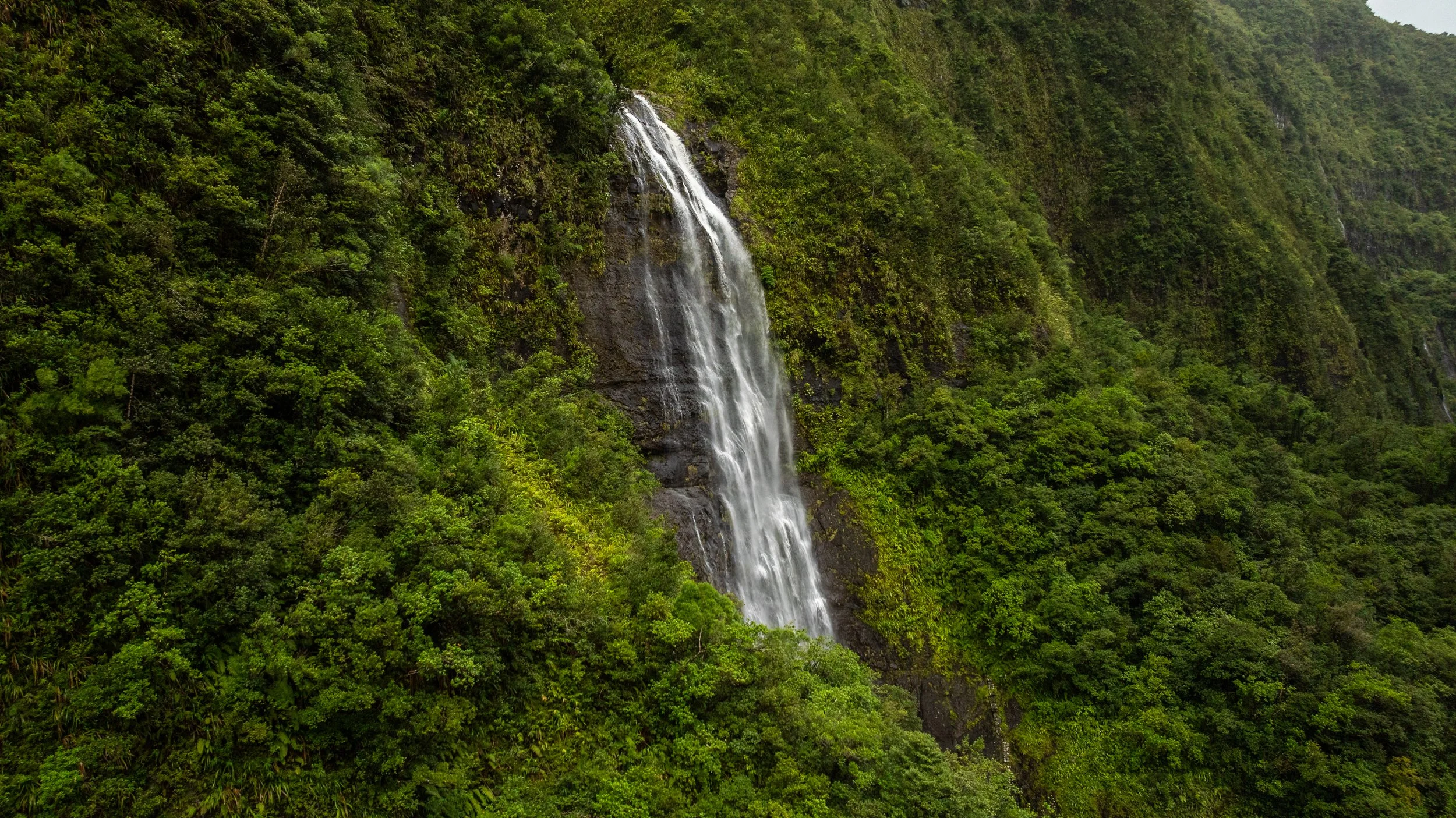Ein Wasserfall fließt durch einen dichten, grünen Regenwald.