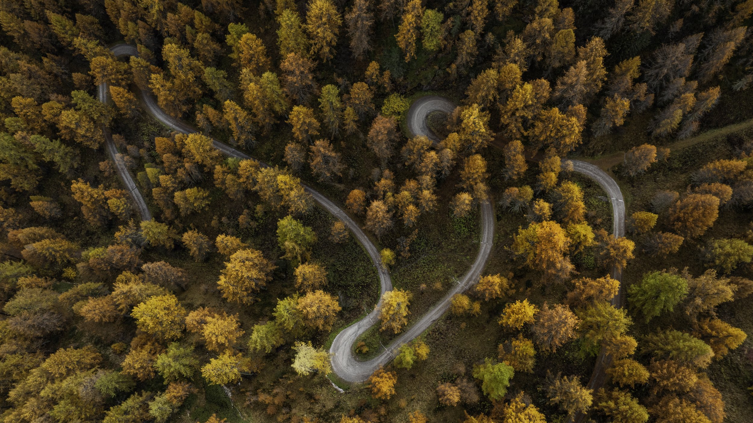 DJI_20241020134426_0095_D.jpg