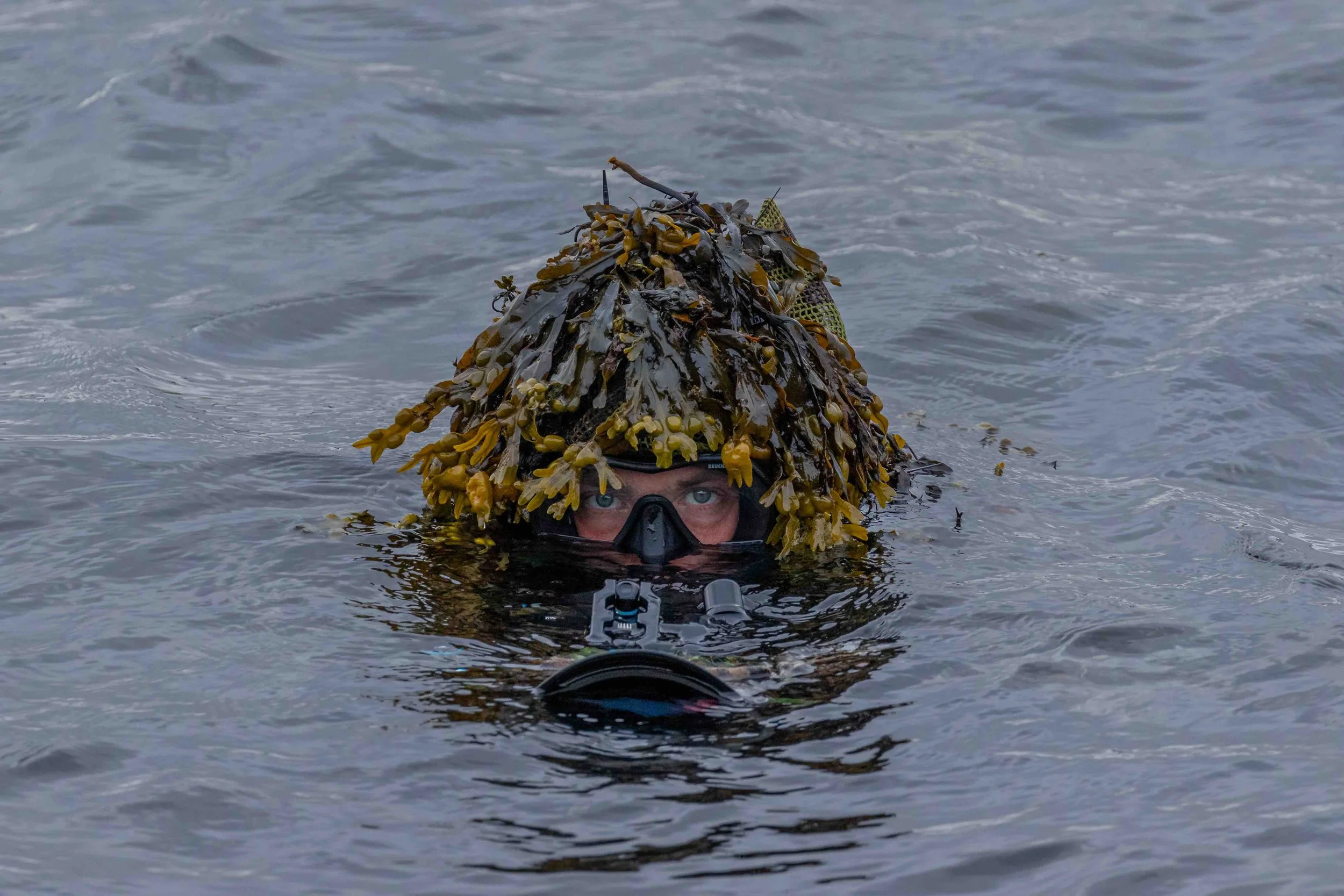 Taucher im Wasser mit Tarnkostüm aus Seetang